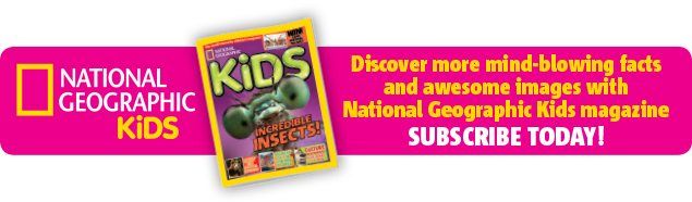 Subscribe to National Geographic Kids magazine