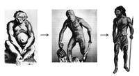 Рис. 1. В центре - питекантроп (скульптура  В. А. Ватагина).
						Слева - шимпанзе (гравюра Tulp, 1641).
						Справа - кроманьонец. Источник: http://www.arthursclipart.org/p