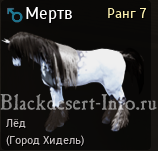 Лошади в Black Desert