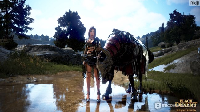 Black Desert Online фото