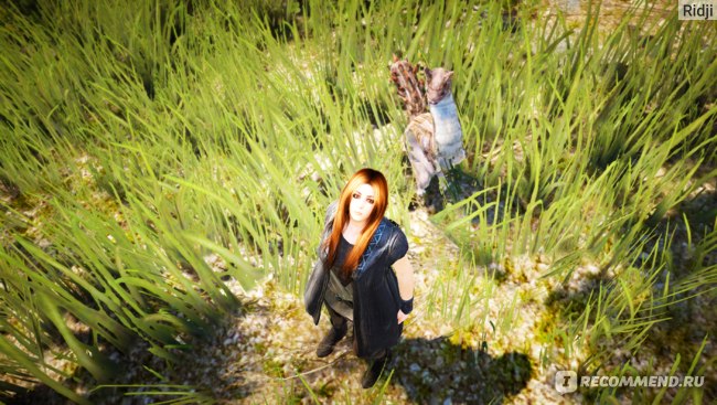 Black Desert Online фото