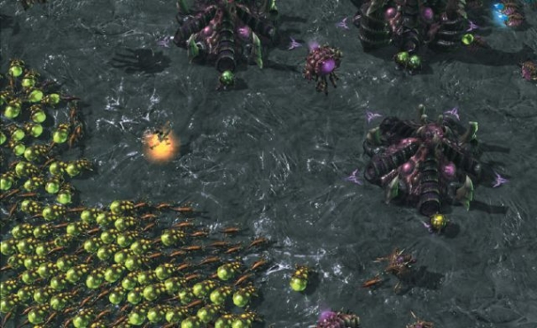 Дикие стаи. StarCraft 2: Heart of the Swarm