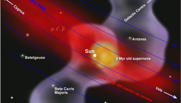 Сверхновая в спектрах протонов космических лучей, антипротонов и позитронов