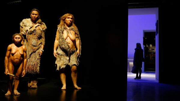 Фигуры человека флоресского, Homo sapiens и неандертальца