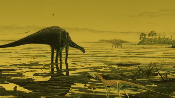 Так художник представил себе зауроподов, живших на острове Скай 170 миллионов лет назад