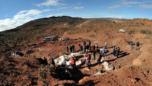 Археологи на месте раскопок, где были найдены кости гигантского динозавра
