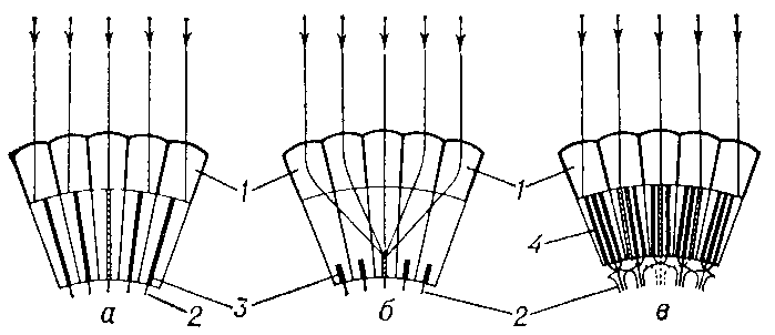 Схема возникновения сетчаточного изображения в аппозиционных (а), оптикосуперпозициониых (6) и нейросуперпозиционных (в) фасеточных глазах: 1 — отдельные омматидии со слитым (а, б) или открытым (в) рабдомом; 2 — аксоны зрительных клеток; 3 — рабдом слитый; 4 — рабдом открытый. Заштрихованы те рабдомы, на к-рые попадают параллельно идущие лучи света (показаны стрелками.).