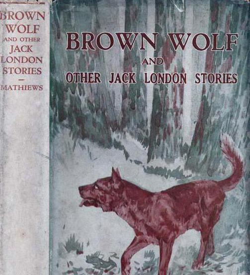 бурый волк описание волка