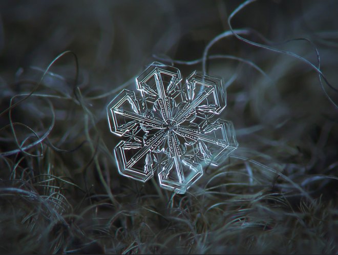 Кристаллы льда в снежинке