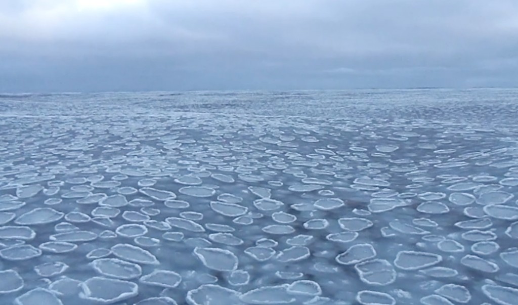 Образование блинчатого льда в море