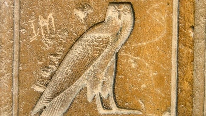 Owl Hieroglyphic