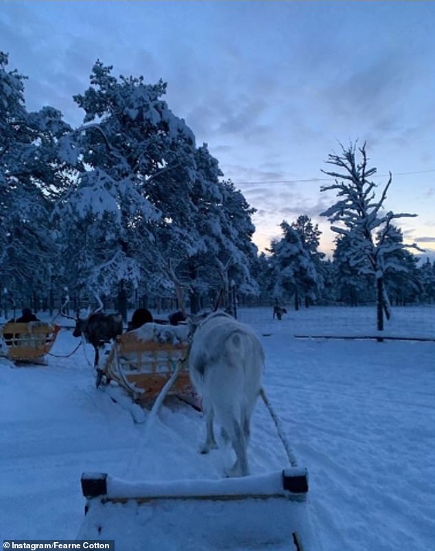 Breathtakingly beautiful: The family-of-four enjoyed a tour of the magical resort on a sleigh