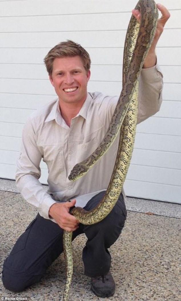 Snake catcher Richie Gilbert came to the rescue when he was called to a home on the Sunshine Coast
