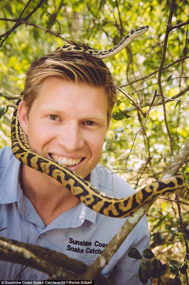 Mr Gilbert, who owns the Sunshine Coast Snake Catchers 24/7, has been catching snakes since the age of five