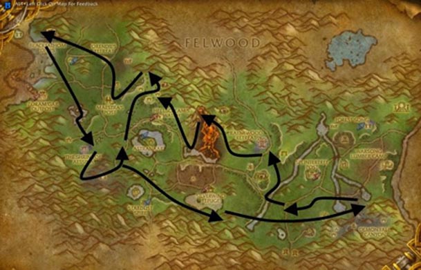 ashenvale-tin