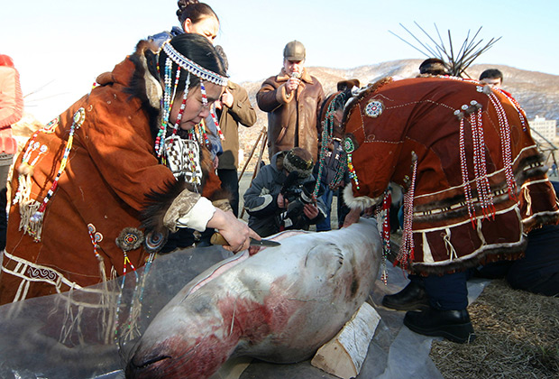 Корякские женщины разделывают тюленя в ходе шаманского ритуала