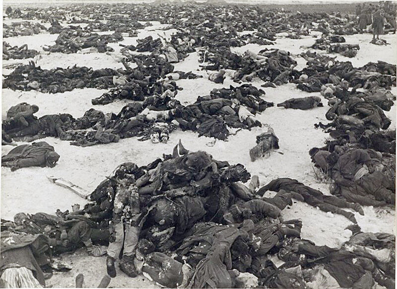 Немцы, убитые под Сталинградом