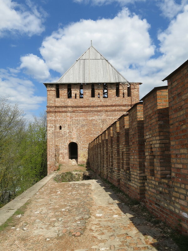Башня Позднякова (8). Вид со стены.
