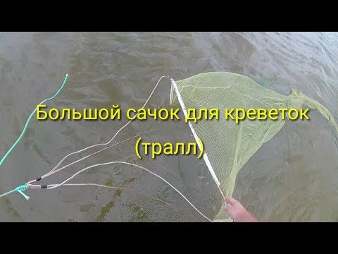 Ловля креветок большим сачком / Catching shrimp with a large net