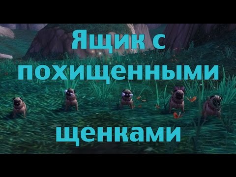 Wow потертая рукоять где падает