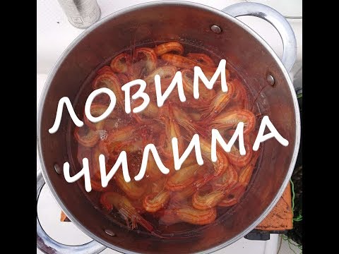 Креветка картинка смешная