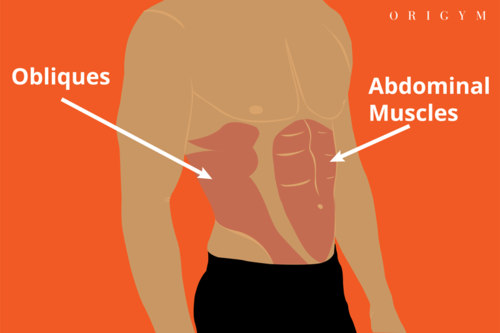 benefits of farmers walk: abs and obliques