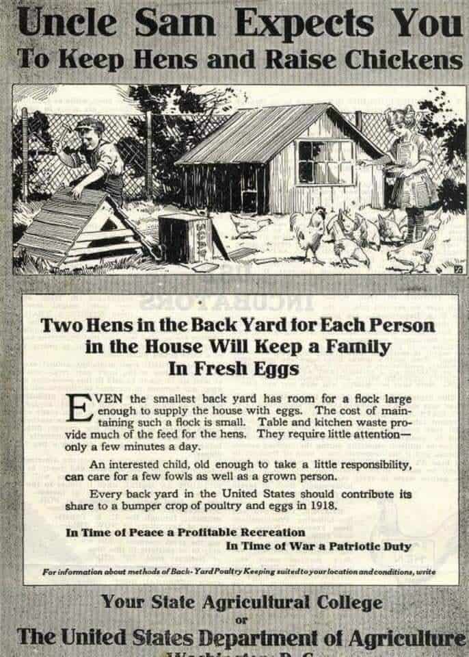 Raise Chickens and eggs 1918 ad...AND YOU WILL NEVER GO HUNGRY! We have our share of eggs and chickens!