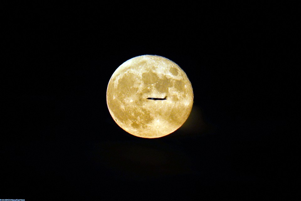 Магия лунного света Фото: EAST NEWS