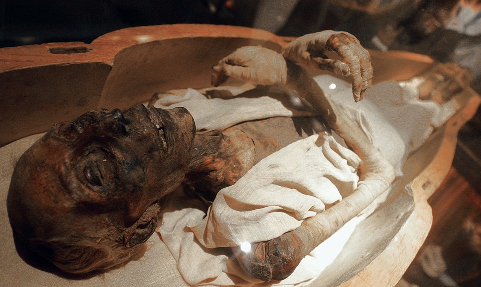 Мумия Рамсеса II Великого в Египетском музее в Каире. 13 в. до н.э. Фото: Виктор Солкин 