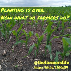 Farmers Planting via thefarmerslife.com