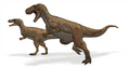 Современная реконструкция мегалозавра 