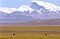 Mt Gurla Mandhata and wild Donkeys.jpg