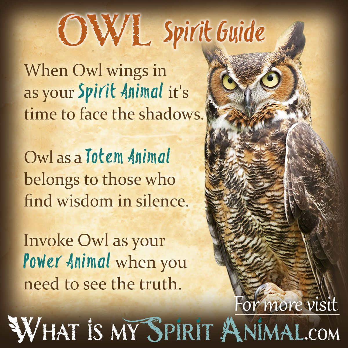 Owl Spirit Totem Power Animal Symbolism Meaning 1200x1200