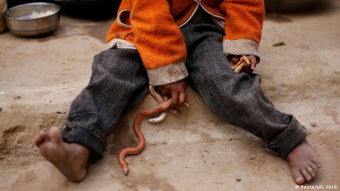 Snake charmers in India (Reuters/A. Abidi)