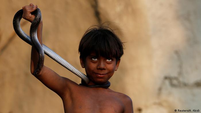 Snake charming in India (Reuters/A. Abidi)