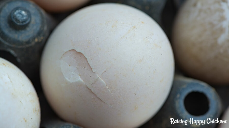 A cracked egg, damaged in transit.