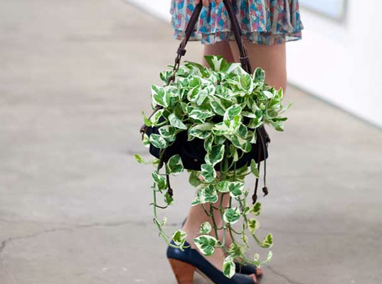 Зеленая сумка-цветок